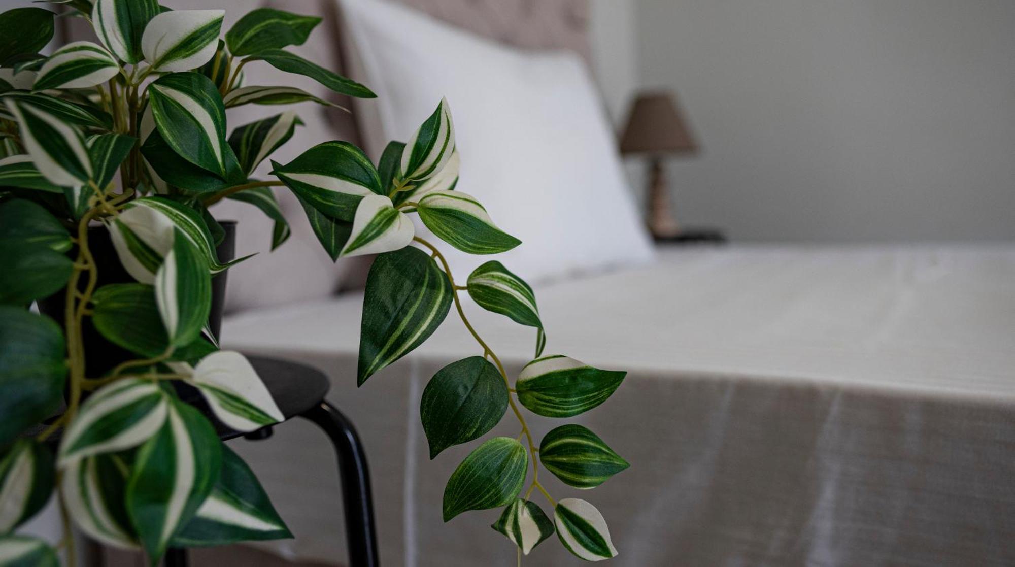 Nikitas Apartments & Suites كانالي المظهر الخارجي الصورة